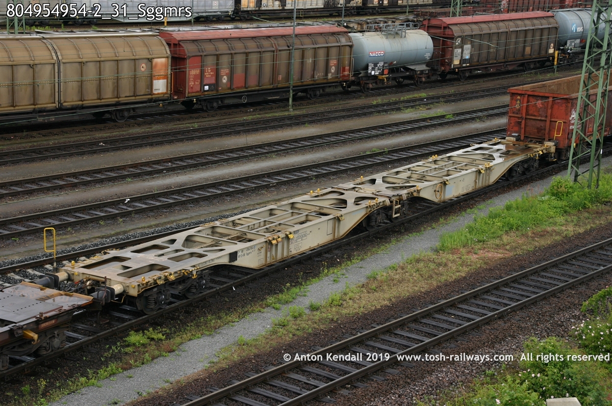 804954954-2_31_Sggmrs.jpg